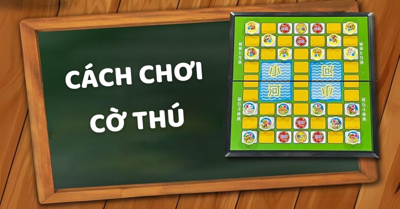 Nguồn gốc và cách chơi cờ thú cho người mới bắt đầu