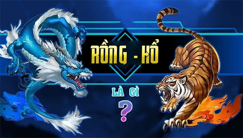 Những chú ý khi đánh game bài Rồng Hổ TDTC giúp tăng tỷ lệ thắng