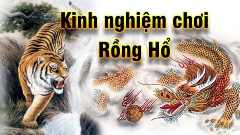 Những chú ý khi đánh game bài Rồng Hổ TDTC giúp tăng tỷ lệ thắng